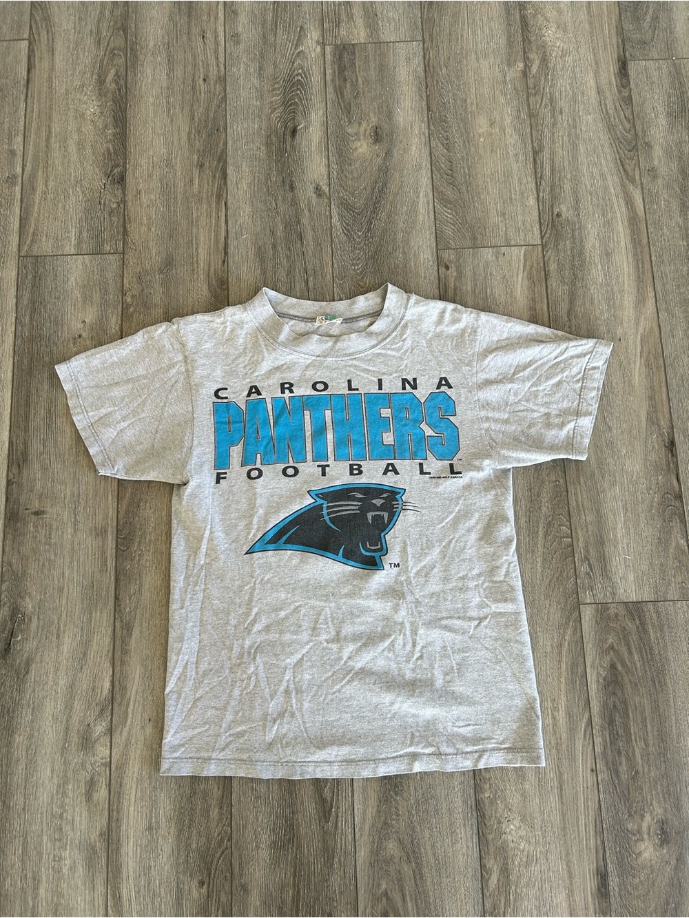 Carolina Panthers Gray T-Shirt with Teal Logo